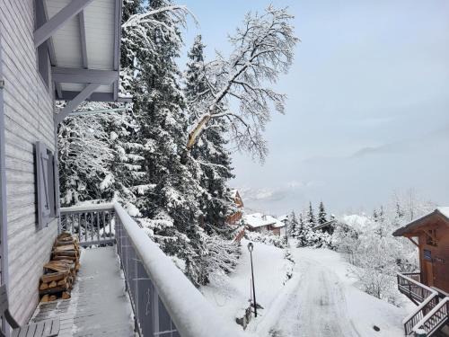 La Perriere Ski Chalet | Chalet Courchevel La Tania - 14 personnes - 7 chambres 7 salles de bains - 40 m des pistes