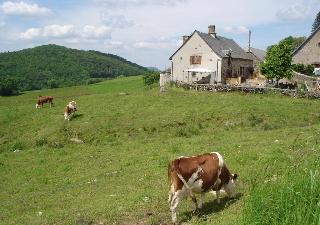 Sauvat House | Chez Marraine