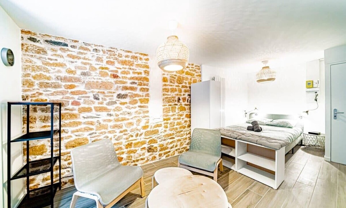 Griffon - Royale Apartment | Le petit Colbert-Studio cosy-Croix Rousse