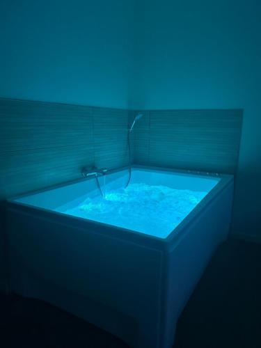 Feurs Apartment | Le Ségusiave SPA