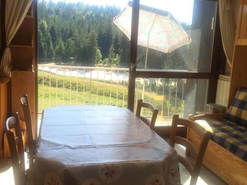 Correncon-en-Vercors Apartment | Studio cabine 33m² pieds des pistes, Animaux admis, Balcon sud - FR-1-515-79