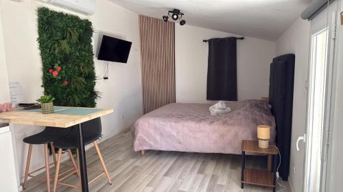 Saran Apartment | Studio nature