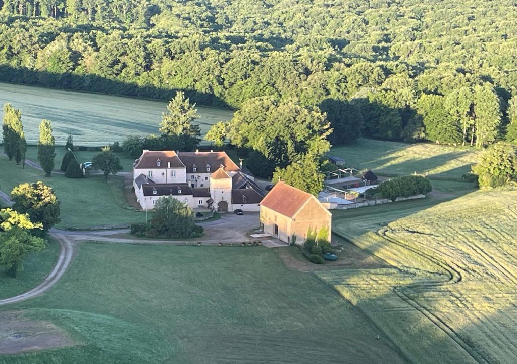 Asquins House | Viola
