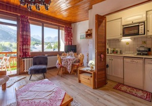 100m from shops, 2nd floor, balcony, parking, tv, ski locker, 30m², Valloire