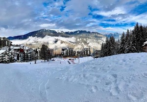 Appartement skis aux pieds avec parking à La Tania - FR-1-513-77