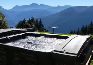 chalet - Les Saisies