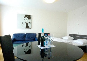 Nice studio with view over the city - Vineyard 52 in Zurich