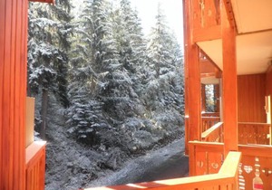 Studio cabine vue montagne - 4 pers. - FR-1-561-11