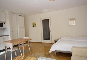 Very central & bright studio - Vineyard 51 in Zurich