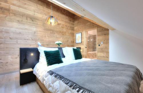 Saint-Gervais-les-Bains Apartment | 3 pièces avec balcon, proche centre et télécabine, animaux admis - FR-1-663-50