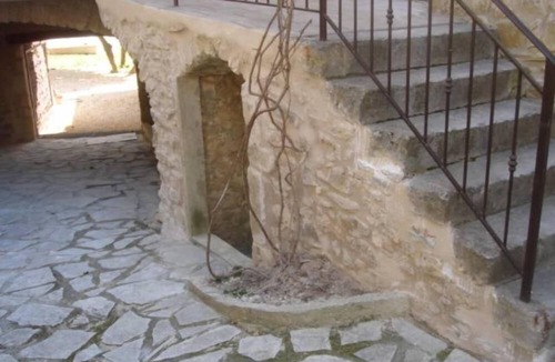Lagorce House | Ardèche, Character property, Les lauriers parasols