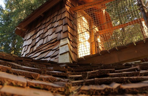 La Tour-dʼAuvergne Cabin | Au Brendezi tree house