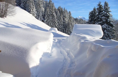 Bisanne 1500 Ski Chalet | Authentic alpine chalet,