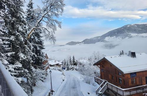 La Perriere Ski Chalet | Chalet Courchevel La Tania - 14 personnes - 7 chambres 7 salles de bains - 40 m des pistes