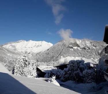 Notre-Dame-de-Bellecombe Ski Chalet | Chalet Le Wapiti, aux pieds des pistes, à 200m du village