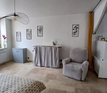 Escouloubre-les-bains Apartment | Chaleureux et lumineux à proximité d un lac et de stations de ski