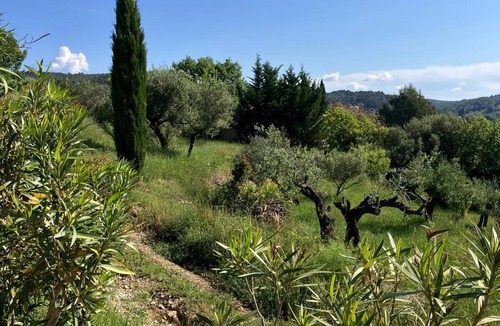 Cotignac House | Charming country house in the Provencal countryside among vineyards and olive trees