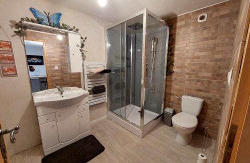 Albertville Apartment | CONFORTABLE STUDIO 37M2 NETFLIX CANAL+.