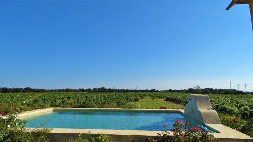 Chateauneuf-de-Gadagne House | Gîte famille 5 personnes avec piscine au cœur des vignes entre Avignon et Luberon