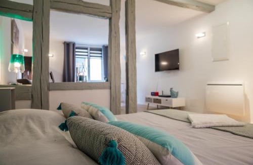Colmar Centre Ville Apartment | Grand studio Colmar Centre