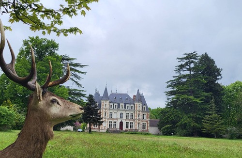Feings House | L'atelier du château in the heart of the Châteaux de la Loire