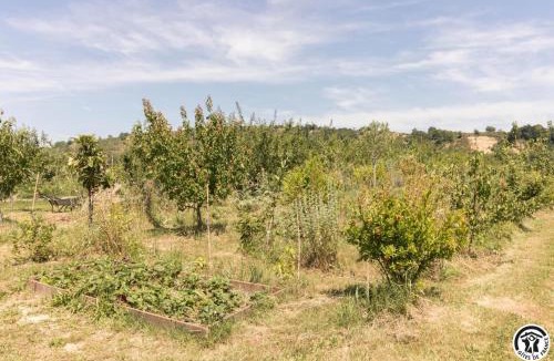 Noe House | Le panier bio de noé