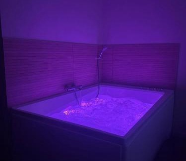Feurs Apartment | Le Ségusiave SPA