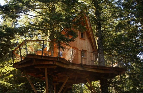 La Tour-dʼAuvergne Cabin | Méïzou des Puys tree house