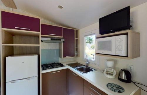 Vic-sur-Cere Other | Mobil-home à Vic-sur-Cère avec terrasse, 2 chambres - API-1-52-1253