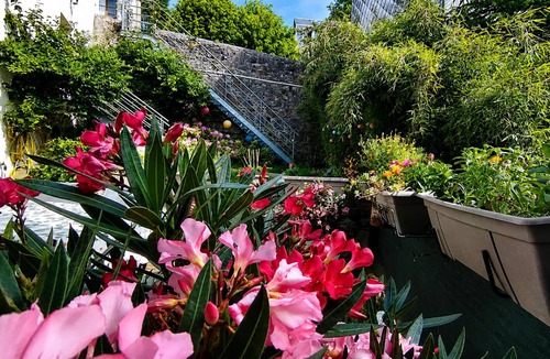 La Bourboule Apartment | Mountain Charm in La Bourboule - Apartment with Terrace and Small Garden