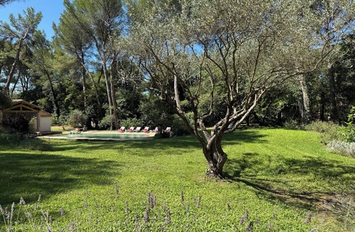 Mazan Villa | Prestigious Provencal villa - at the foot of the Ventoux mountains