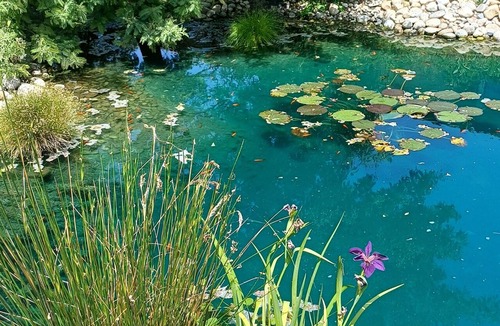 Gibel Cottage | Private spa, heated pool, and beautiful garden (4,000 m²). A great brunch.