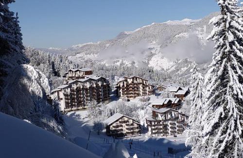 La Perriere Apartment | Résidence Saboïa A Courchevel Sauna