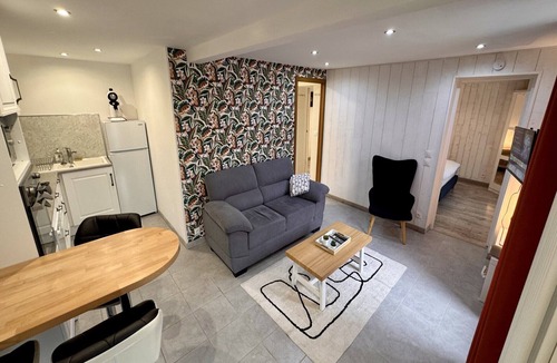 Mont-Dore Apartment | Stay by the summit path
