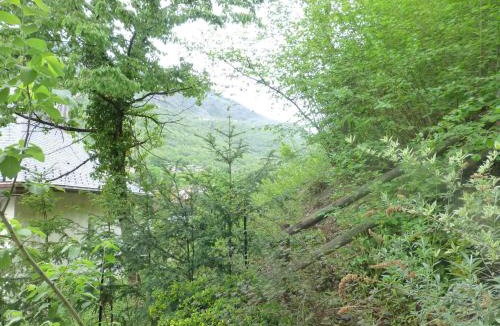 Brides-les-Bains Apartment | Studio avec WiFi et animaux admis près de la télécabine - FR-1-512-125