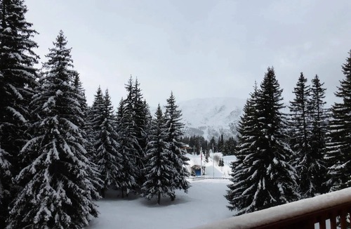 Meribel Apartment | Studio for 4 people in Méribel Altiport, near the slopes and the golf course