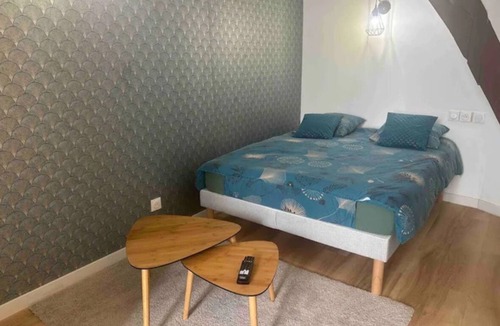 Bourgogne Apartment | Studio Hypercentre Orléans, Entre Bord de Loire et Cathédrale