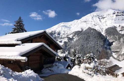 Les Contamines-Montjoie Ski Chalet | Superbe CHALET (14 personnes) & SAUNA au pied du Mont Blanc