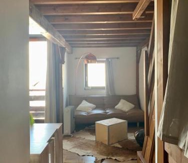 Manigod Apartment | Superbe studio pied des pistes- linge de maison non fourni
