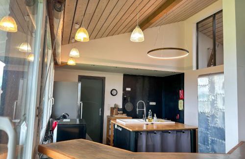 Lugrin House | Villa spacieuse avec terrasse et jardin, animaux et parking admis - FR-1-498-19