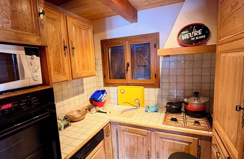 Albiez-le-Vieux Ski Chalet | Wooden chalet 6 pers, terrace & garden, summer mountain view