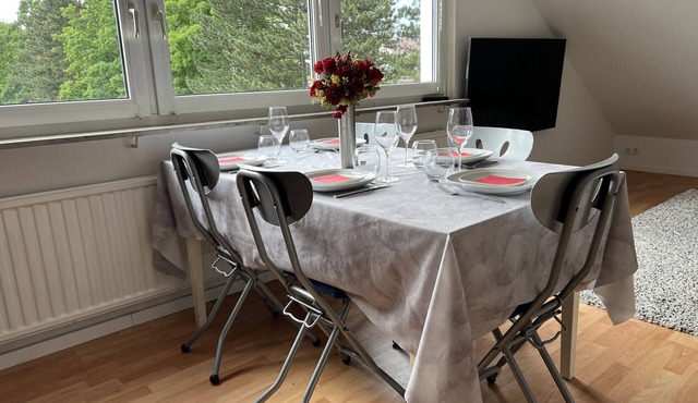 Apartment 'Ruhige Wohnung Nahe Zentrum U Messe' with Private Pool in Stuttgart