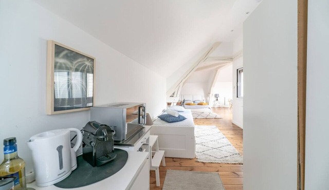 Appartement design style loft, centre, terrasse