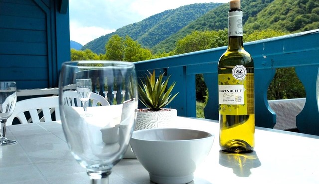 Arreau, Apt: 1-bedroom apartment with terrace and pool, Lake Génos