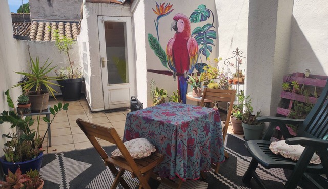 Artist's house with sunny terrace typical of the South of France