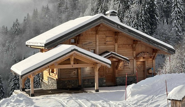 Beautiful chalet with exceptional view - 8 PEOPLE