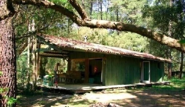 Between forest, Lac d'Hossegor & Atlantic beaches - Charming wooden house for 5p in Soorts-Hossegor