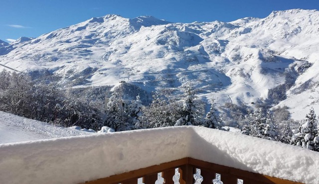 Chalet, 350m from ski slopes, sauna, terrace, balcony, parking, tv, ski locker, 340m², Les Menuires