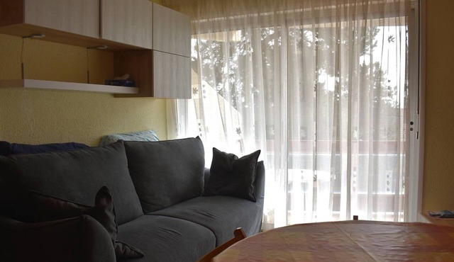 Comfortable Studio Cabin - Near Center with Parking