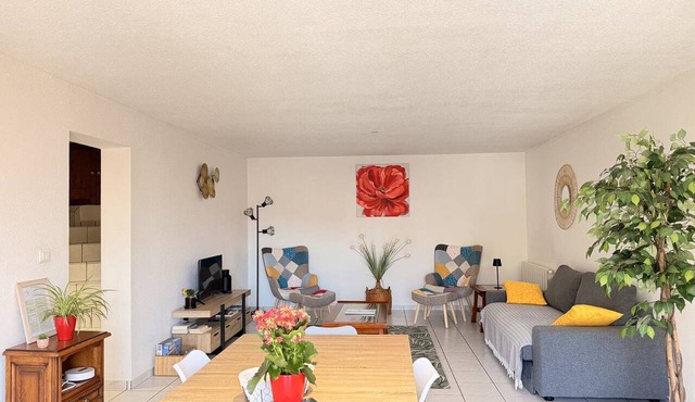 Comfortable house the volcanoes of Auvergne